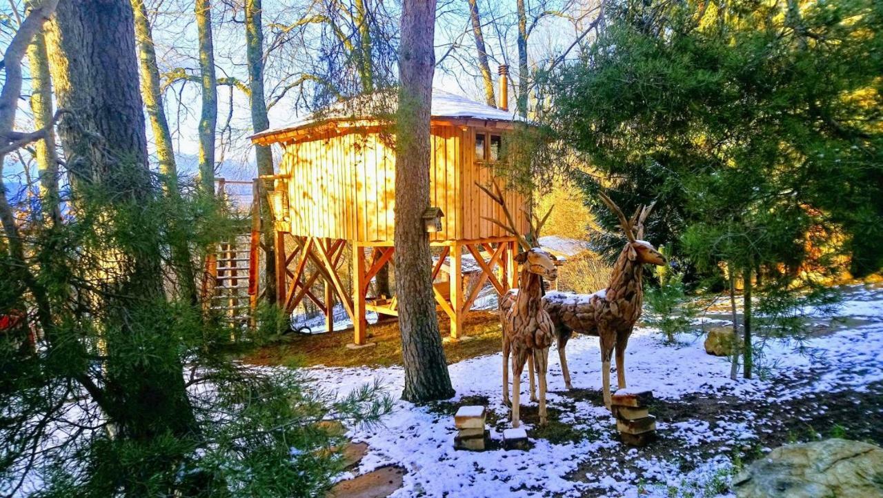 Casa vacanze Les Du Saleve Collonges-sous-Saleve